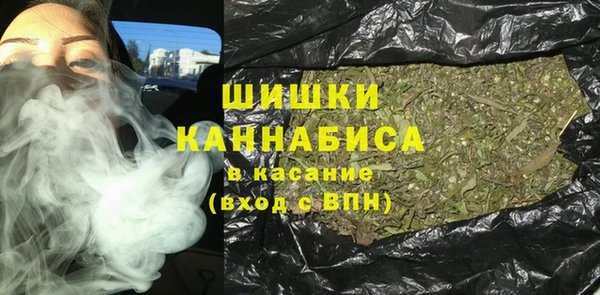 дмт Медногорск