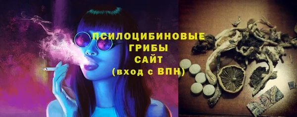 Альфа ПВП Магас