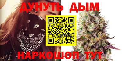 прущие крисы Аргун