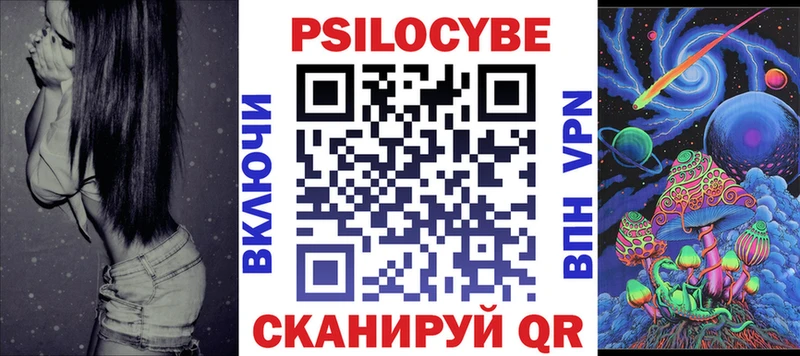 блэк спрут онион  Новозыбков  Псилоцибиновые грибы Magic Shrooms  купить закладку 