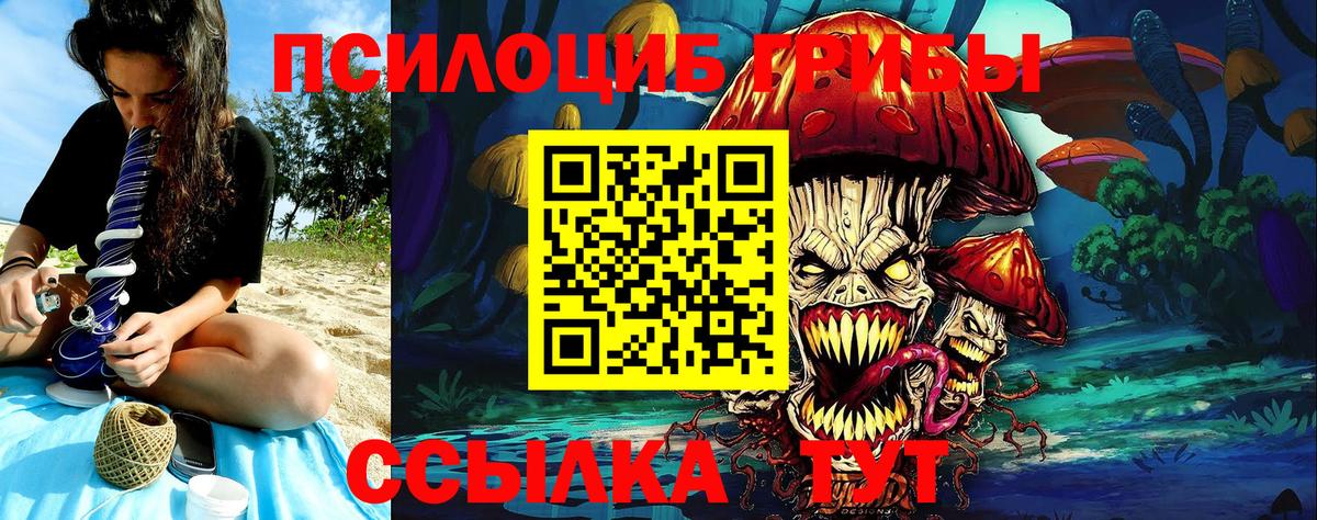 Галлюциногенные грибы прущие грибы Новозыбков