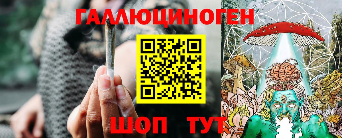Галлюциногенные грибы Psilocybe  Новозыбков  Галлюциногенные грибы мицелий 