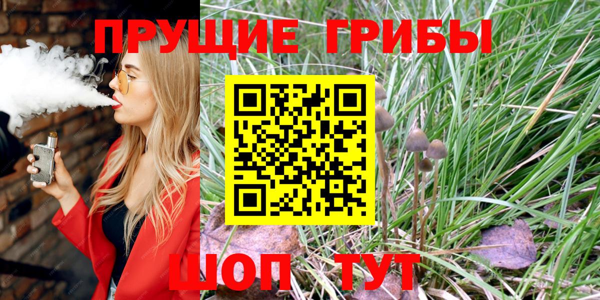 Псилоцибиновые грибы GOLDEN TEACHER Новозыбков