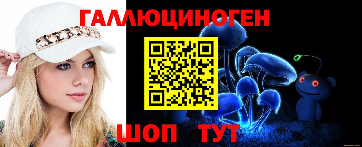 где найти наркотики  Вход с VPN  Новозыбков  Псилоцибиновые грибы прущие грибы 