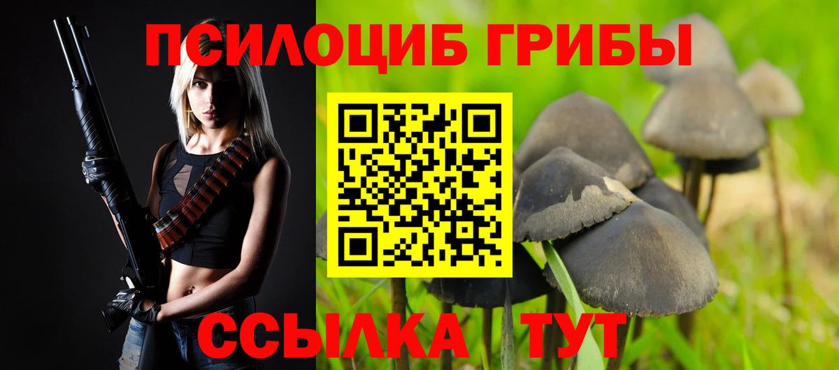COCAIN  ГАШИШ  Вход с VPN  Меф МЯУ МЯУ   ЭКСТАЗИ  Новозыбков  ГАШ  Конопля 